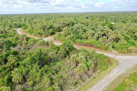 Land in North Port, Florida № 2201692 - photo 7