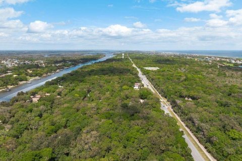 Land in Palm Coast, Florida № 1812493 - photo 8