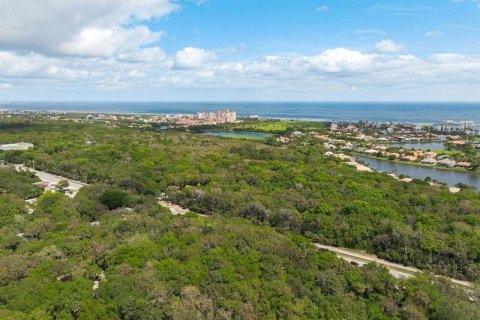 Land in Palm Coast, Florida № 1812493 - photo 7