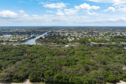 Land in Palm Coast, Florida № 1812493 - photo 10