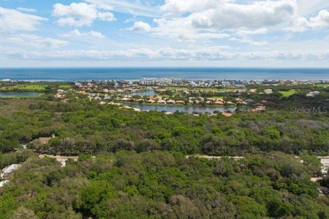 Land in Palm Coast, Florida № 1812493 - photo 6