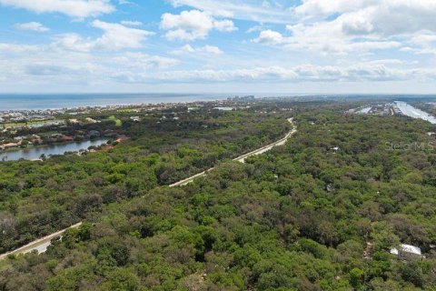 Land in Palm Coast, Florida № 1812493 - photo 5