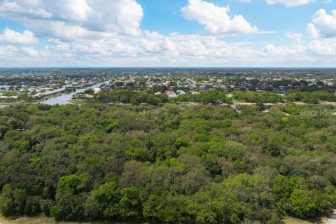 Land in Palm Coast, Florida № 1812493 - photo 2