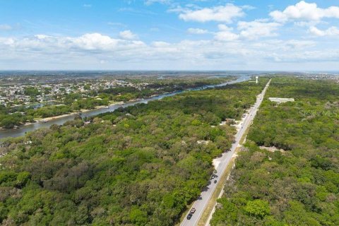 Land in Palm Coast, Florida № 1812493 - photo 9