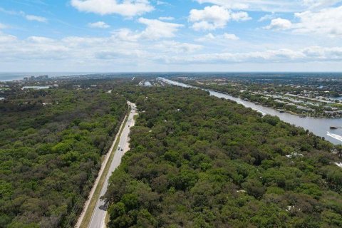 Land in Palm Coast, Florida № 1812493 - photo 4