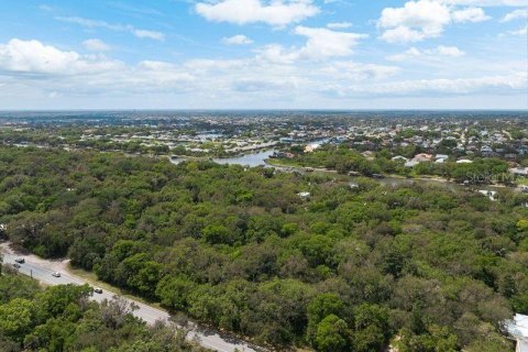 Land in Palm Coast, Florida № 1812493 - photo 3