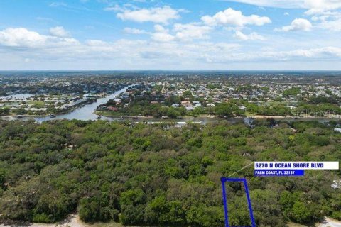 Land in Palm Coast, Florida № 1812493 - photo 1