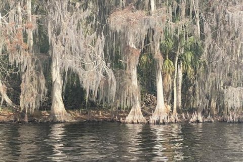 Terreno en venta en Georgetown, Florida № 1534095 - foto 3