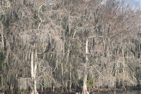 Terreno en venta en Georgetown, Florida № 1534095 - foto 4