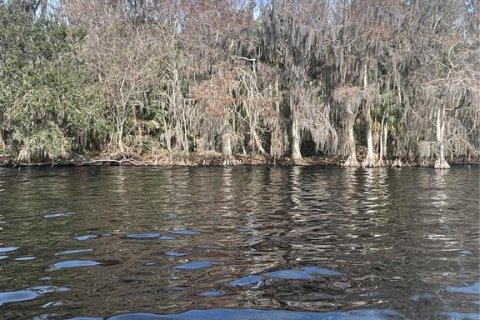 Terreno en venta en Georgetown, Florida № 1534095 - foto 1