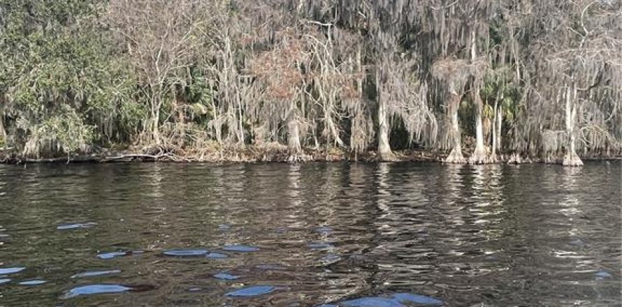 Terreno en Georgetown, Florida № 1534095