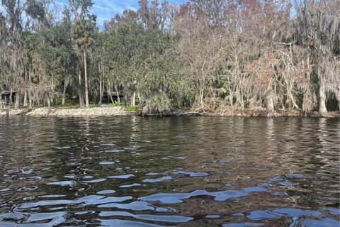 Terreno en venta en Georgetown, Florida № 1534095 - foto 2