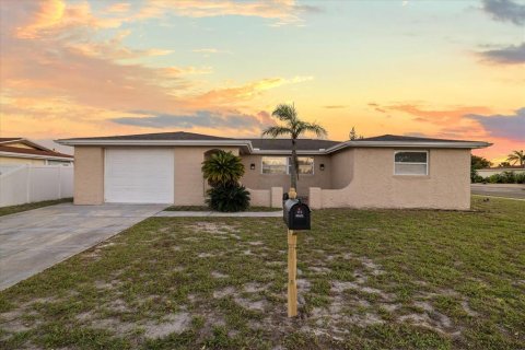 Villa ou maison à Port Richey, Floride 3 chambres, 169.92 m2 № 2420076