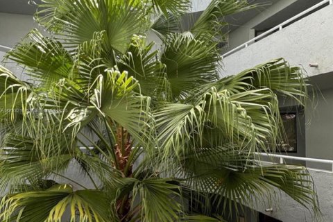 Снять в аренду квартиру в Майами, Флорида 2 спальни, 99.78м2, № 1932095 - фото 15