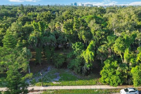 Land in Sarasota, Florida № 2379600 - photo 6