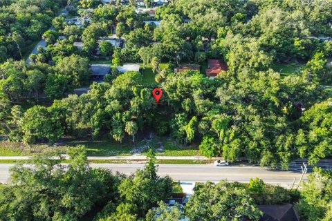 Land in Sarasota, Florida № 2379600 - photo 16