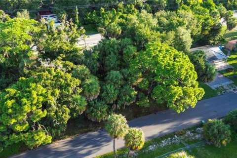 Land in Sarasota, Florida № 2379600 - photo 13