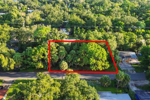 Land in Sarasota, Florida № 2379600 - photo 2