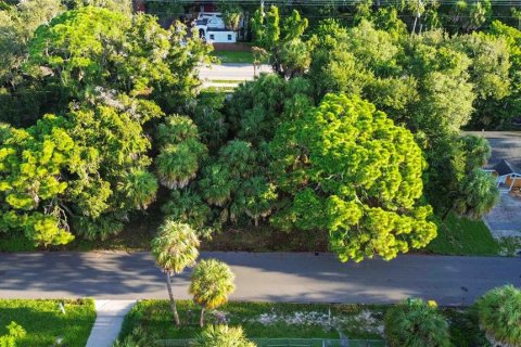 Land in Sarasota, Florida № 2379600 - photo 12