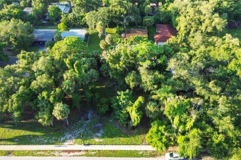 Land in Sarasota, Florida № 2379600 - photo 8
