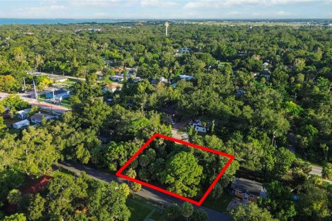 Land in Sarasota, Florida № 2379600 - photo 4