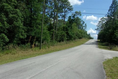 Land in Dunnellon, Florida № 2228870 - photo 2