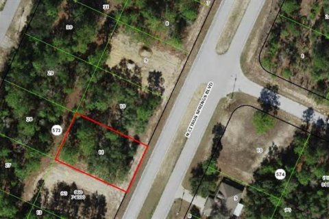 Land in Citrus Springs, Florida № 2162776