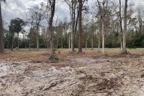 Land in Gainesville, Florida № 1519849 - photo 10