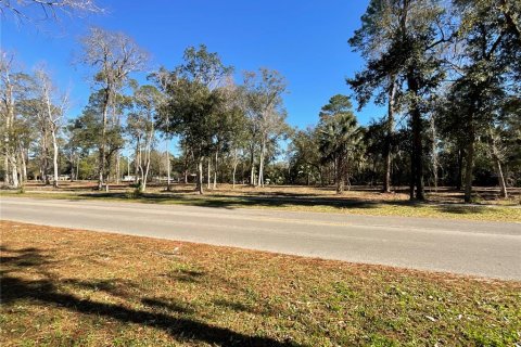 Land in Gainesville, Florida № 1519849 - photo 3