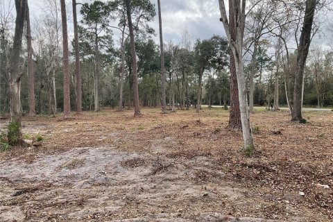 Land in Gainesville, Florida № 1519849 - photo 9
