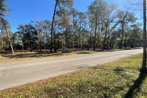 Land in Gainesville, Florida № 1519849 - photo 7