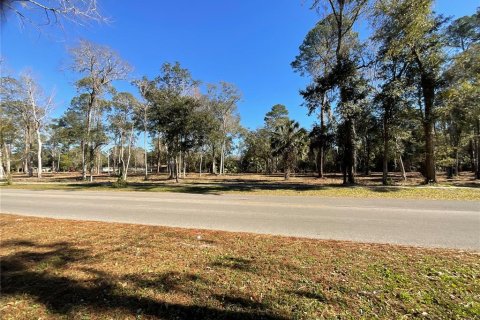 Land in Gainesville, Florida № 1519849 - photo 5