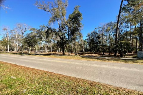 Land in Gainesville, Florida № 1519849 - photo 6
