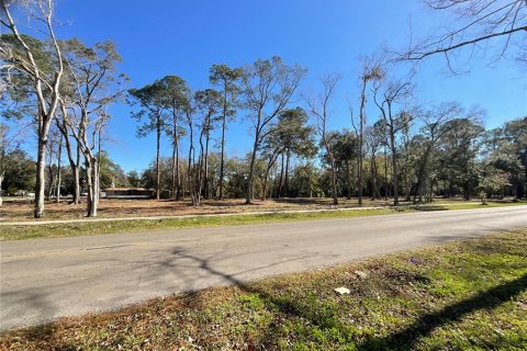 Land in Gainesville, Florida № 1519849 - photo 2
