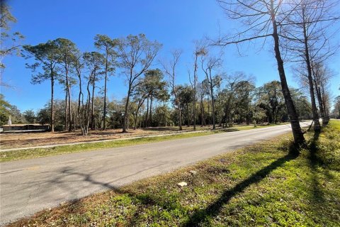 Land in Gainesville, Florida № 1519849 - photo 1