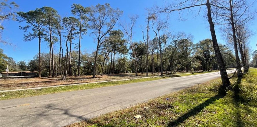 Land in Gainesville, Florida № 1519849