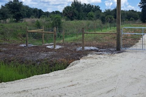 Land in Okeechobee, Florida № 2163417 - photo 4