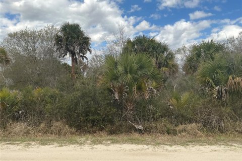 Land in Okeechobee, Florida № 2163417