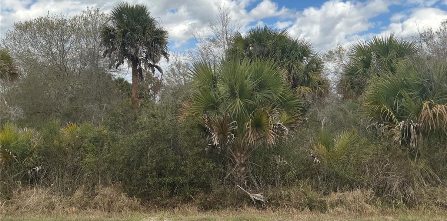 Land in Okeechobee, Florida № 2163417