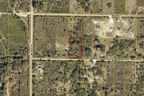 Land in Okeechobee, Florida № 2163417 - photo 2