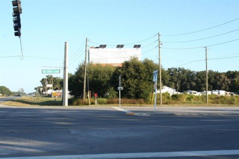 Land in Summerfield, Florida № 225781 - photo 1