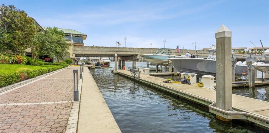 Condo in Tampa, Florida, 2 bedrooms  № 1844653