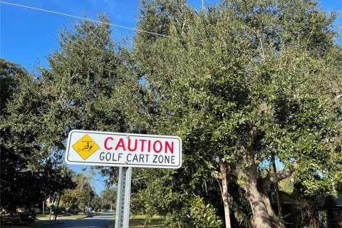 Land in Sanford, Florida № 1919256 - photo 10