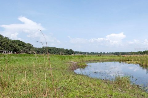 Land in Clermont, Florida № 218168 - photo 12