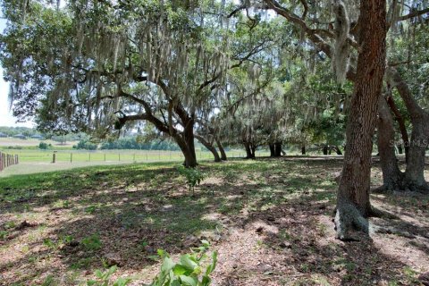 Land in Clermont, Florida № 218168 - photo 17