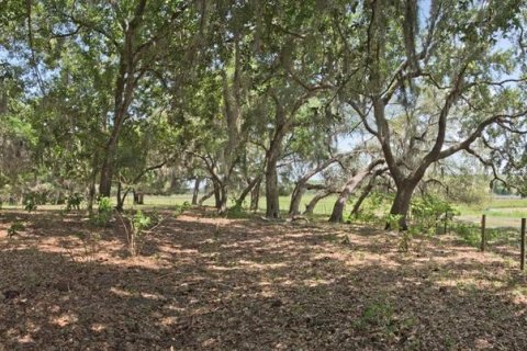 Land in Clermont, Florida № 218168 - photo 19