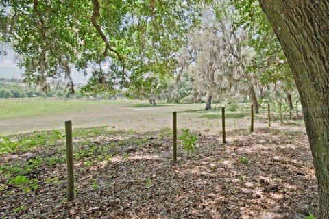 Land in Clermont, Florida № 218168 - photo 8