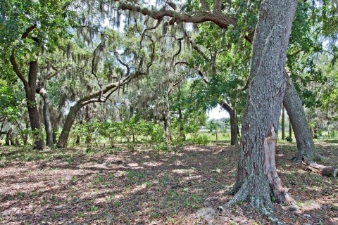 Land in Clermont, Florida № 218168 - photo 5