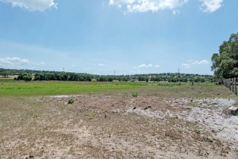 Land in Clermont, Florida № 218168 - photo 15