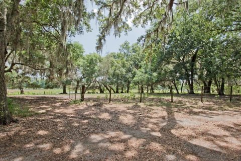 Land in Clermont, Florida № 218168 - photo 9